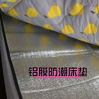室单人上下床大学生宿舍寝透气防潮垫防霉防水床垫野餐垫