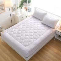 棉花床垫褥子护垫可折叠榻榻米防滑加厚酒店床垫多种规格可选