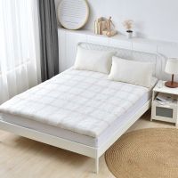 棉絮床垫被褥子双人家用垫絮棉花垫被床褥垫单人学生宿舍软垫铺底