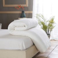 棉被垫被棉絮床垫被子被芯棉胎棉花单人双人春秋冬被加厚好暖褥子