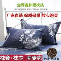 全荞麦壳枕头纯棉枕套单双人家用学生宿舍成人大号枕头护颈枕
