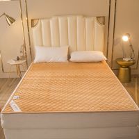 加厚法莱绒床护垫单双人宿舍榻榻米防滑洗床垫