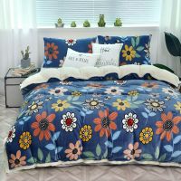 牛奶绒双层保暖毛毯被子加厚珊瑚绒冬季双面绒单双人单件被套盖毯