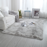 新款长毛绒扎染地毯卧室床边客厅茶几飘窗满铺阳台榻榻米地垫