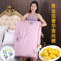 全棉黄金蚕丝被桑蚕丝加厚冬被芯单双人春秋被子空调被褥