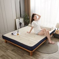 加厚10厘米乳胶床垫榻榻米1.5米1.8米软垫双人海绵垫学生宿舍