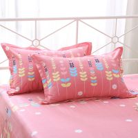 纯棉枕套一对装学生单人枕头套成人枕罩加大枕芯罩加厚枕皮套