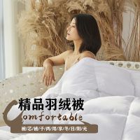 五星酒店专用羽绒被子冬天加厚95白鹅绒春秋被学生单双人鸭绒被芯