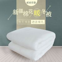 新疆棉被纯棉花被子全棉絮床垫学生宿舍被芯褥子保暖手工棉被