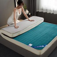 床垫乳胶软垫家用榻榻米四季垫学生床褥宿舍租房专用水晶绒床垫子