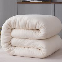 棉被秋冬被胎加厚保暖垫被棉被芯棉絮床垫被子冬被