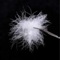 国标90%白鸭绒鹅绒羽绒被羽绒服填充物大朵散装水洗羽绒