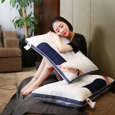决明子枕头枕芯一对成人枕头芯家用护颈椎学生枕头套装