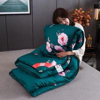 蚕丝被桑蚕丝被春秋被冬被加厚被芯双人蚕丝被宿舍学生被子空调被