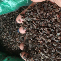 甜荞麦壳荞麦皮高温免洗消毒新荞麦填充荞麦枕芯枕头