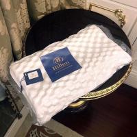 五星级酒店乳胶枕头芯枕头枕头成人护颈枕芯枕套家用