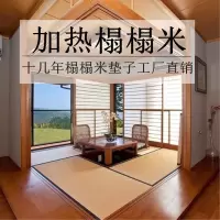 电加热榻榻米垫子地垫椰棕垫碳纤维电热日式塌塌米炕床垫