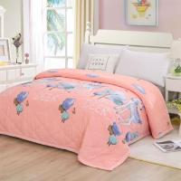 水洗棉夏凉被全棉花单双人春秋被子可机洗凉爽空调被薄被子暖气被