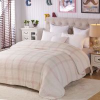 棉絮被子棉被垫被学生宿舍单人棉被芯春秋冬被褥床垫褥子加厚棉胎