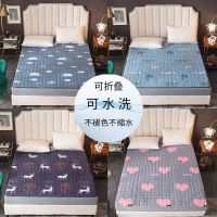 四季通用可机洗床垫床护垫榻榻米防滑保护垫床褥子单双人学生宿舍