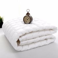 宾馆加棉加厚床垫夹棉席梦思床垫保护垫白色1.8米双人床棕榈床垫
