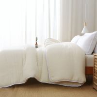 君正新疆棉被胎长绒棉花被子加厚冬被芯学生床垫被褥子纯棉絮全棉