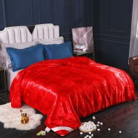 蚕丝被桑蚕丝被春秋被冬被加厚被芯双人蚕丝被宿舍学生