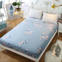 床笠单件床罩席梦思保护套薄棕垫床垫套1米1.5米1.8米