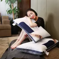 决明子枕头枕芯一对装成人家用单人护颈椎保健枕头芯一对枕头套装