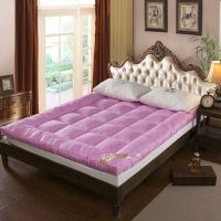 加厚羽丝绒棉床垫10cm酒店榻榻米床褥护垫褥子可折叠垫被尺寸规格齐全