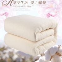 被芯棉花被子棉絮垫被床垫褥子春秋双人学生宿舍加厚单人冬被棉胎