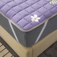 四季可机洗薄床垫榻榻米保护垫学生宿舍床褥子单人双人防滑保护垫