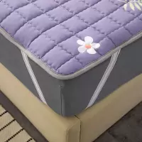 四季可机洗薄床垫榻榻米保护垫学生宿舍床褥子单人双人防滑保护垫