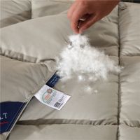 冬季羽绒被子冬被加厚保暖冬天棉被芯秋冬鸭绒被单人双人特价