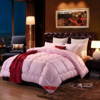 保暖被子四季春秋被芯棉被褥单人宿舍双人太空调被加厚冬被