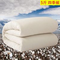 棉絮棉被棉胎垫被学生棉被子床垫褥子被芯单人春秋被褥加厚冬被子