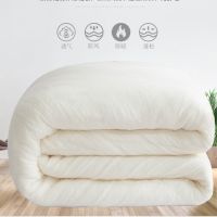 新疆棉被冬被子加厚被芯保暖双人棉絮纯床垫被褥子单人学生棉胎