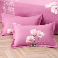 纯棉枕套一对双人单人全棉枕套学生成人枕头套