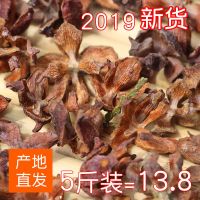 柏壳睡眠枕头侧柏子壳枕芯硬药枕成人单人失眠白发少白头