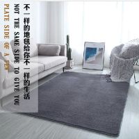 长毛简约客厅地毯门口床边卧室飘窗满铺地垫厨房防滑榻榻米爬行垫