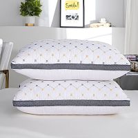 双人枕头枕头芯护颈枕一只颈椎枕成人一对情侣一个学生宿舍软枕芯