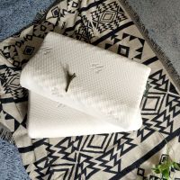 送枕套泰国天然乳胶枕芯成人护颈椎记忆单人枕头橡胶枕无味一对装