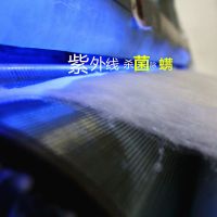 棉花枕芯枕头颈椎枕成人儿童枕芯纯棉单人双人枕头纯棉花填充