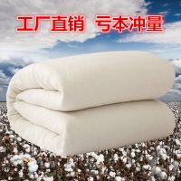 棉被棉絮棉胎垫被学生棉被子床垫褥子被芯单人春秋冬被被褥加厚被