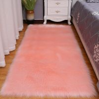 毛绒客厅地毯卧室床边毯大面积满铺飘窗垫榻榻米地垫少女ins装饰