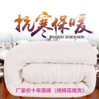 被子棉花被芯冬被加厚保暖棉被单人学生宿舍冬季双人棉絮被褥