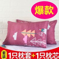 枕头芯成人加枕头套枕头套装可爱可拆洗颈椎枕头学生宿舍枕头单人