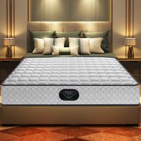 弹簧床垫1.5米1.8m床垫家用经济型加厚席梦思床垫 新锐