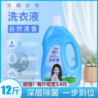 【田亮】洗衣液3kg*2瓶 两种香型各1瓶低泡易漂持久留香去渍护色
