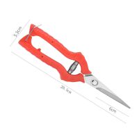 大号修枝剪(长20.5cm) 买2送1(共发3把)|不锈钢树枝修枝剪摘水果花木剪刀园林果树花卉枝嫁接园艺剪刀工具